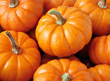 Pumpkin-Photo